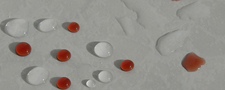 Partiell (linke Seite), mit WAYTONA® Steinbodenversiegelung -nichtsaugend- behandelte Bodenfliese. Deutlich ist der Abstoßeffekt zu erkennen.